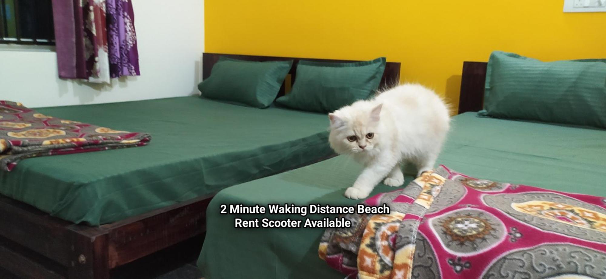 Ratnakar Arundekar Home Stay In Beach Side Ac Room 戈卡尔纳 外观 照片