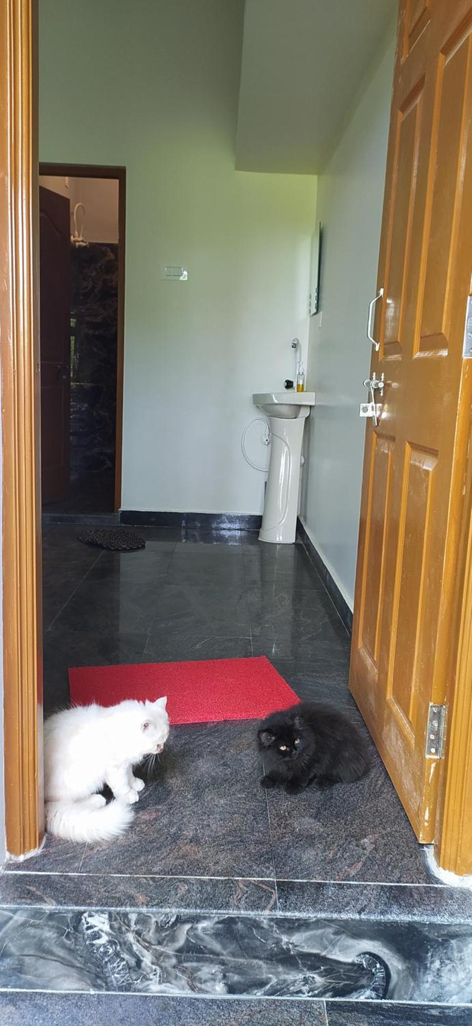 Ratnakar Arundekar Home Stay In Beach Side Ac Room 戈卡尔纳 外观 照片